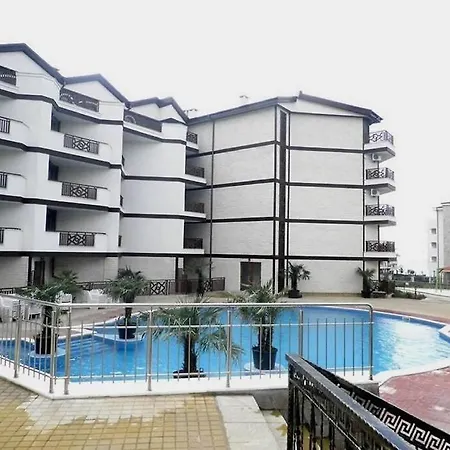 Royal Palm